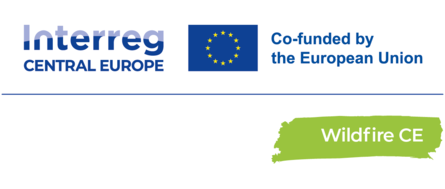 Logo des Interreg B Projektes Wildfire